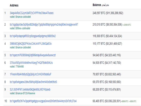  The Titans of Bitcoin - A Glimpse into the Top 10 Wealthiest Wallets in 2024 