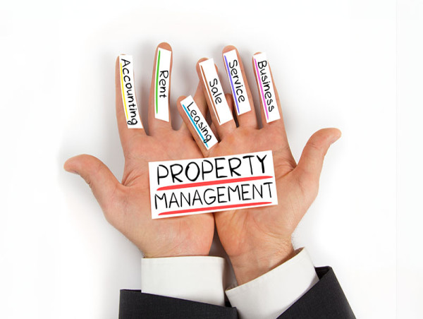 Understanding the Role of Property Management Companies: Services from Rent Collection to Eviction