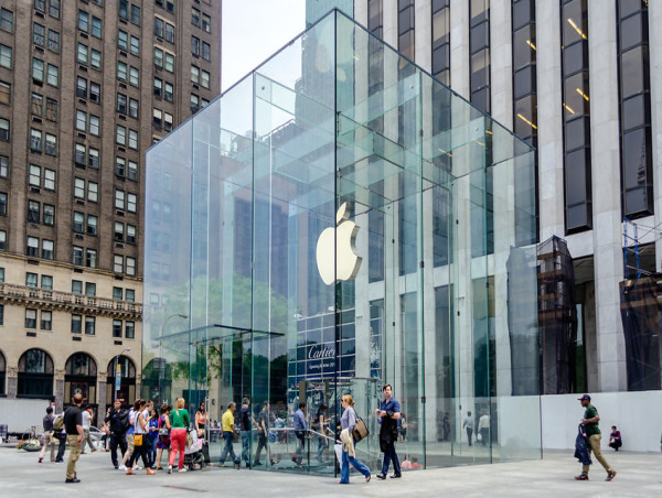 Five things to expect from January and February 2024 earnings season