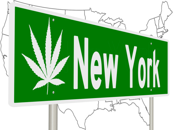New York Cannabis Training Program Online: Empowering the Next Generation of Cannabis Professionals