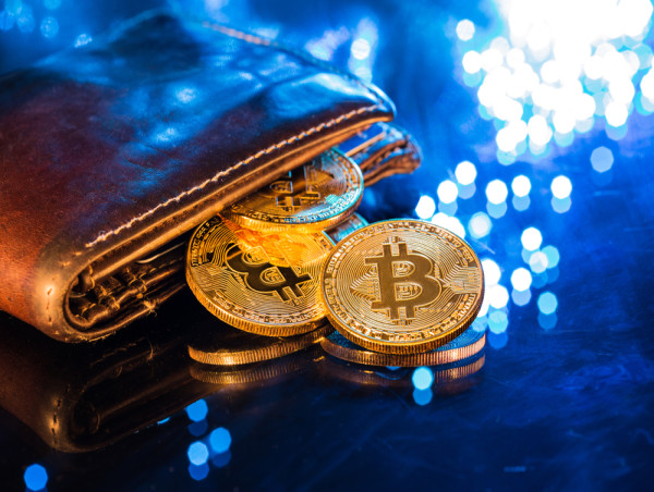 Evolution of Corporate Bitcoin Adoption: A Rollercoaster Ride for Institutional Investors