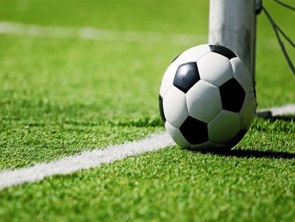 Football Market Size To Hit US$ 4.6 Billion by 2032, CAGR of 3.6% | IMARC Group