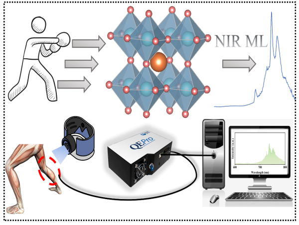 Uncovering self-recoverable NIR mechanoluminescence from Cr3+ doped perovskite type aluminate