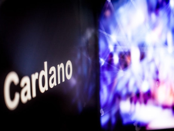  Are Cardano, Avalanche, Tron, XRP, and Solana spot ETFs coming? 