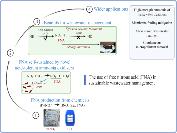 Next-Generation Wastewater Solutions: Utilizing Acid-Resistant Microbes for Improved Treatment Efficiency