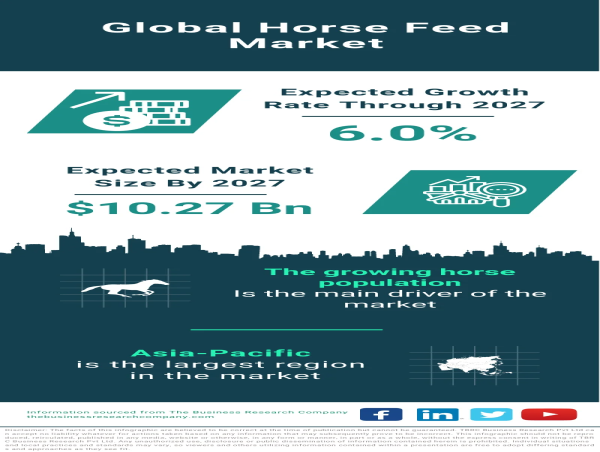 Horse Feed Market Size, Share, Revenue, Trends And Drivers For 2024-2033 