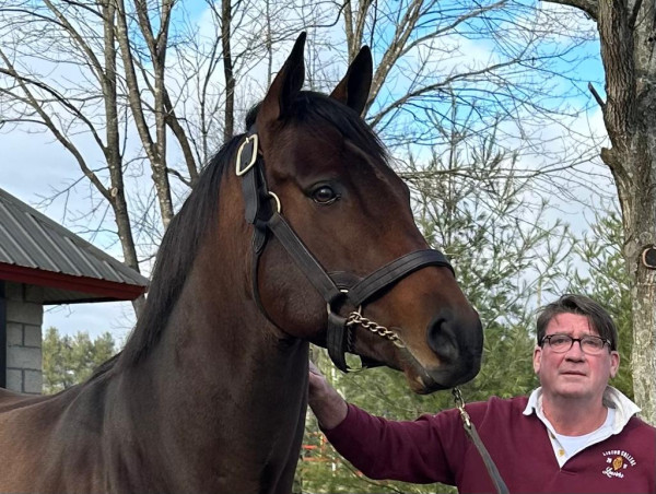  Dr Padraig O’Casaigh and the Kakapo Help Save the Stud Career of the 2022 Preakness Winner 