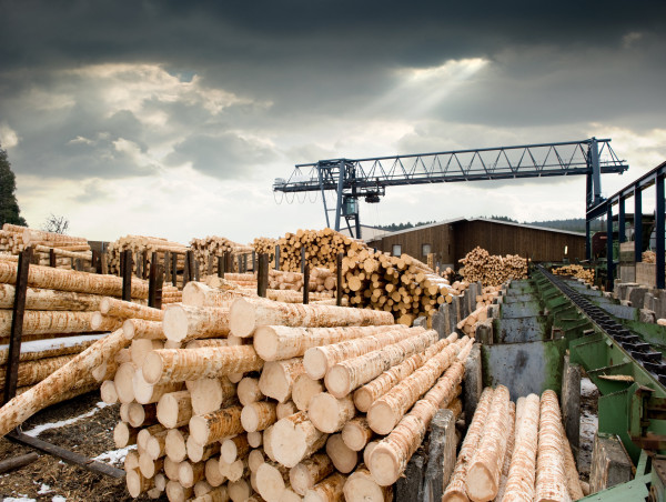 As Lumber prices recover, Weyerhaeuser (WY) stock could benefit