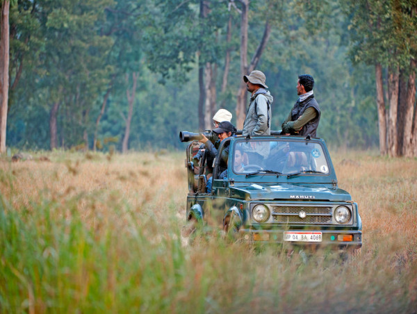  Are tiger safaris safe in india? Safety in Indian National Parks 
