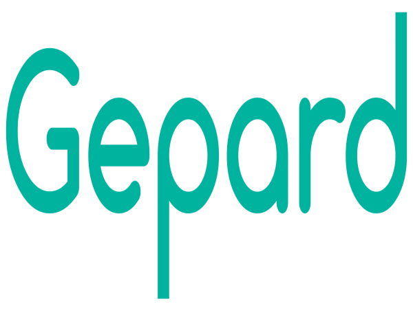 Gepard PIM Introduces Complimentary PIM Process Evaluation Service