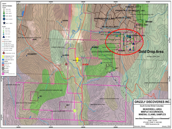  Grizzly Reports the First Sample Results for the Newly Acquired Ground in the Beaverdell Area of the Greenwood, BC Precious and Battery Metals Project 