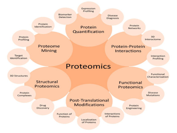  Proteomics Revolution: Anticipating a Striking CAGR of 15.2%, Market to Hit $98.60 Billion by 2031 
