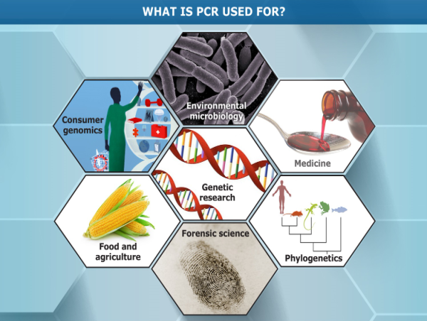  The DNA of Growth: Polymerase Chain Reaction Technologies Charting a Course to $28.8 Billion 