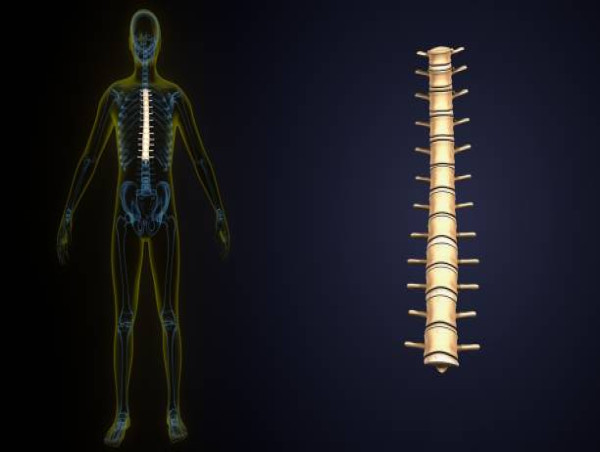  Global Spinal Laminoplasty Market Set to High Growth, Business Opportunities & Forecast – 2031: Medtronic, Raymedica 