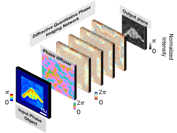 Diffractive networks enable quantitative phase imaging (QPI) through random diffusers
