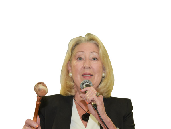 AUCTIONEER, VIKKI VINES REFLECTS ON AMAZING “HERSTORY’ DURING 40-YEAR TENURE WITH GALLERY AUCTIONS