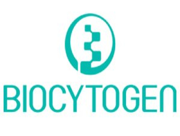 Biocytogen Launches RenBiologics, A Sub-Brand Focused on Out-Licensing Fully Human Antibodies For Therapeutic Development