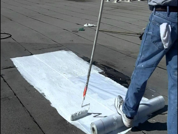 Elastomeric Coating Market Size, Drivers, Trends, Competitors And Forecast 2024-2031 | BASF SE