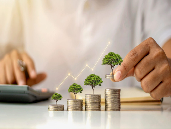 Wealth Management Market Seeking Excellent Growth | Citigroup, Bank of America, Goldman Sachs