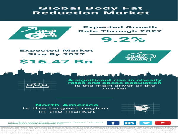 Body Fat Reduction Market Size, Share, Revenue, Trends And Drivers For 2024-2033