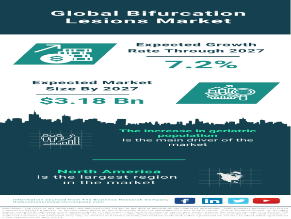 Global Bifurcation Lesions Market Forecast 2024-2033 – Market Size, Drivers, Trends, And Competitors