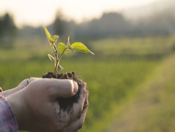 Biopesticides Market to Reach US$ 20.5 Billion 2024-2032, Driven by Impressive 12.1% CAGR