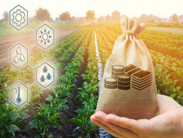  Agribusiness Market Share, Size, Overview, In-Depth Analysis and Forecast 2024-2032 
