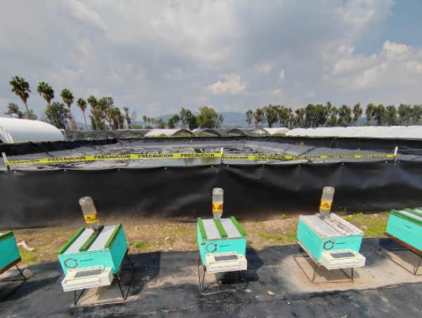 Bee Vectoring Technologies Announces Paid Demonstration Trials in Mexico with Major Multi-National Grower