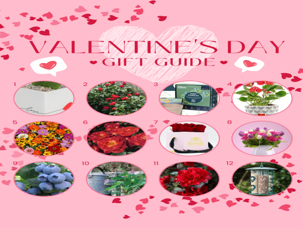  Garden Media Group Releases 2024 Valentine's Day Gift Guide 