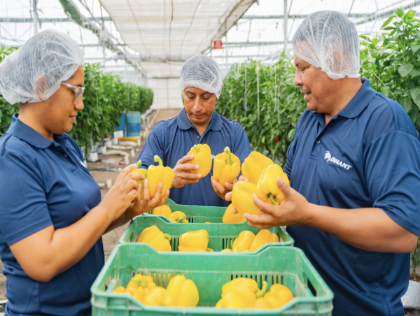 Dinant Makes Great Progress in Environmental Protection, Employee Development & Community Engagement 