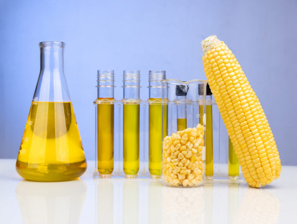  Ethanol Derivatives Market Outlook, Critical Insights, Trends Analysis, Key Players And Forecast By 2024-2031 