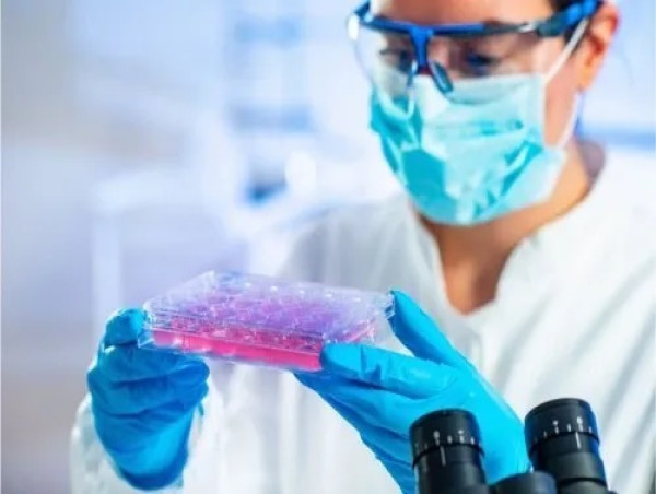  Stem Cell Services Market Moving in the Right Direction: Paragon Bioservices, APEX Biologix, VcanBio 