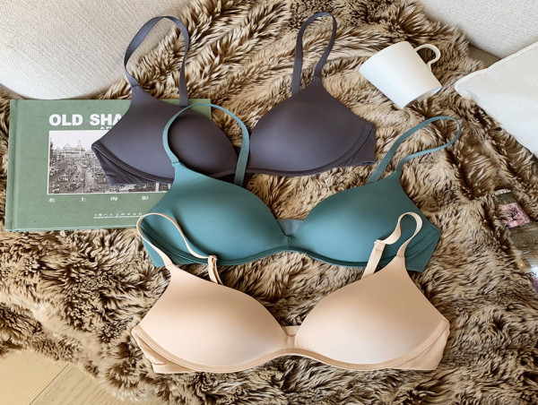  Lingerie Market 2024: A Valuation of US$ 149.9 Billion Predicted by 2032 