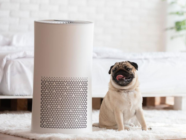 Smart Air Purifiers Market Share Will Hit US$ 12.7 Billion By 2032