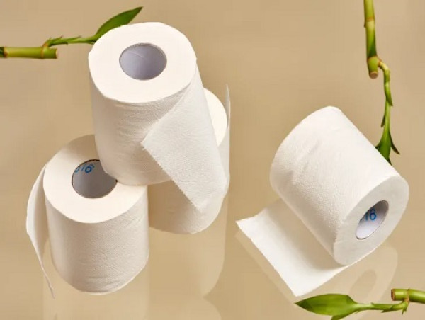 Bamboo Paper Manufacturing Plant Project Report 2024: Raw Materials Requirement, Manufacturing Process