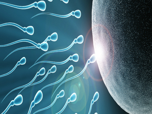 Reproductive Genetics Market to Reach US$ 50.1 Billion, Globally, by 2032 at 26.5% CAGR - IMARC Group