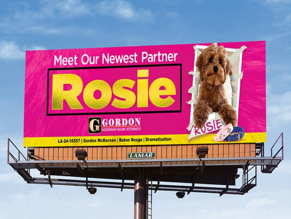  Gordon McKernan Unveils Rosie as Newest Addition to 