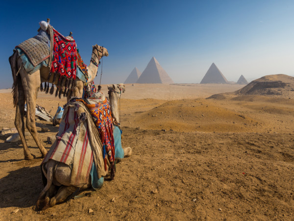  Here’s why the Egyptian pound (EGP) is about to crash again 