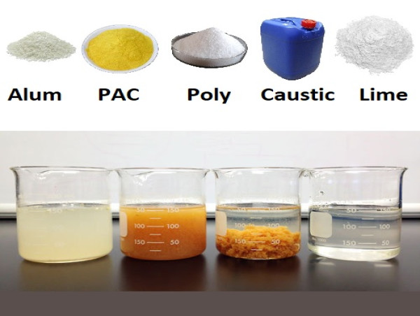 Water And Wastewater Treatment Chemicals Market Growth Opportunities: Size and Trends (2024-2031)