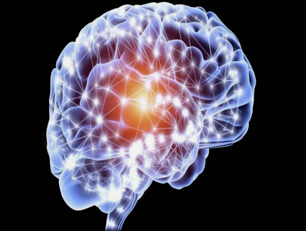  Tapping into Neuroplasticity Market Poised for Explosive Growth 2024-2031 | CogniFit, BrainHQ, SharpBrains 