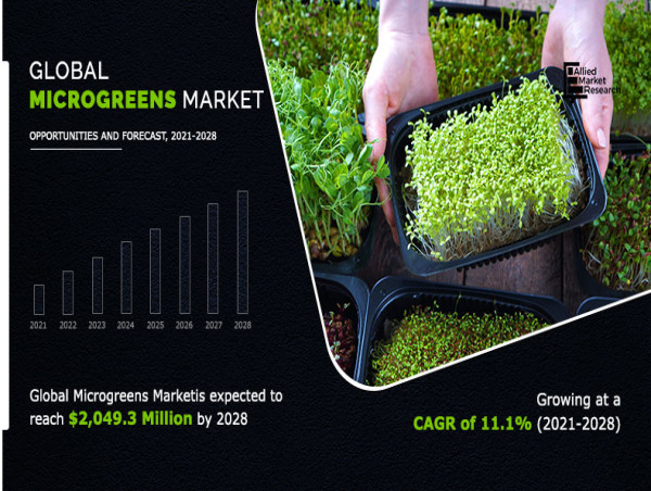 Microgreens Market Grows into a $2.2 Billion Industry: Allied Market Research Unveils Insights and Projections.