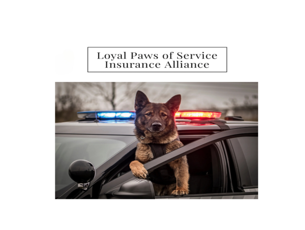 Founder of Hands2Paws pleads Pet Insurance Industry for free coverage for Retired Government Service Dogs