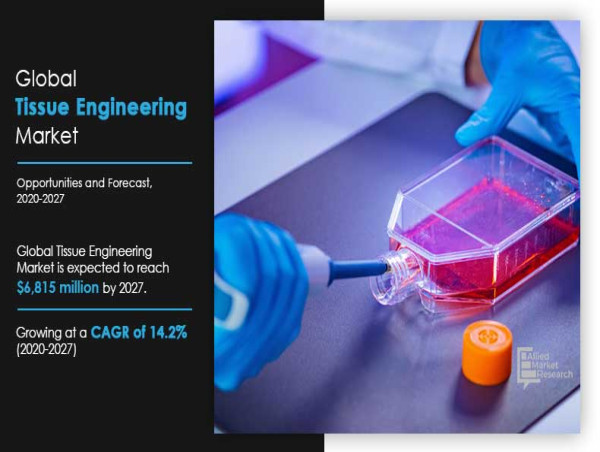 What strategies are key players employing to maintain a competitive edge in the tissue engineering market?