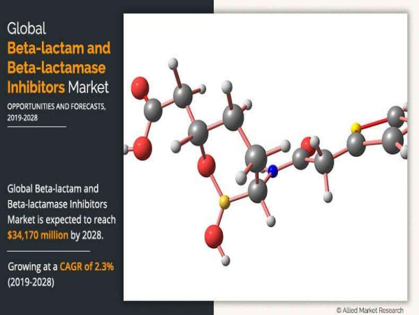 Advancements in Beta-lactam and Beta-lactamase Inhibitors Market: A Comprehensive Analysis