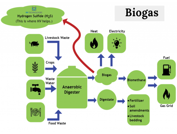 Biogas Market – Global Industry Analysis, Size, Share, Growth, Trends and Forecast to 2031 | EnviTech Biogas AG