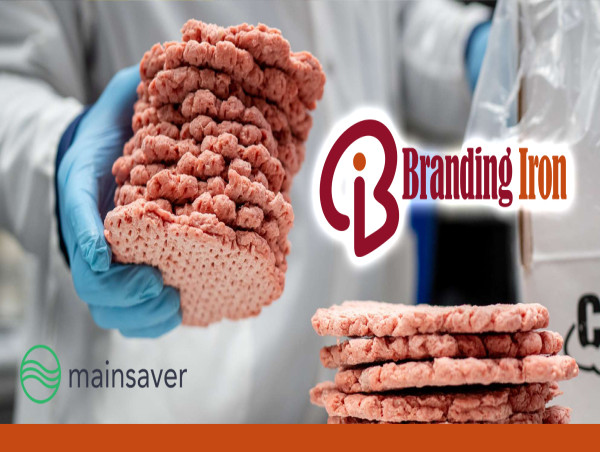 Branding Iron Holdings Modernizes Maintenance Management with Mainsaver's Cloud-Based CMMS