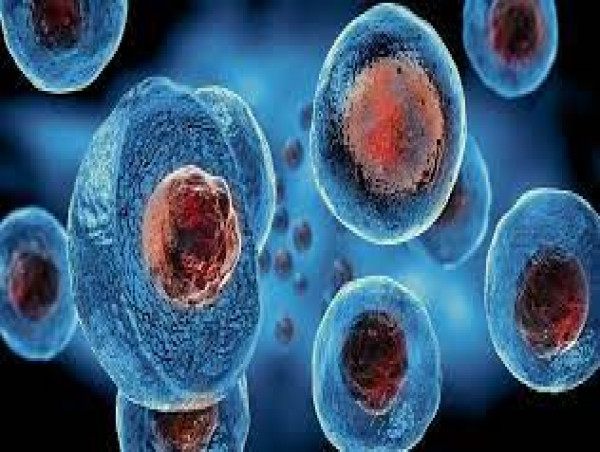 Regenerative Medicine Market Growth Expected to See Next Level: Acelity, Medtronic, Zimmer Biomet