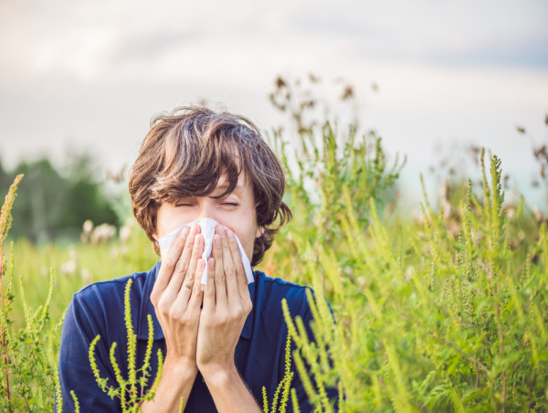 Pollen Allergy Market is Projected to Grow at a CAGR of 2.79% from 2024-2034 | IMARC Group