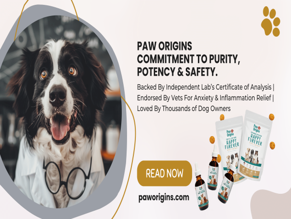  Paw Origins' Rigorous Third-Party Certificate of Analysis Reinforces Consumer Confidence in Happy-Furever Series 