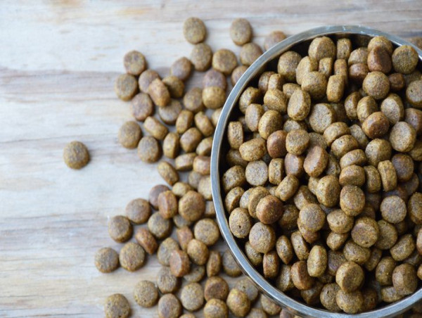  United States Dog Food Market Size, Share, Industry Growth, Trends & Research Report 2024-2032 